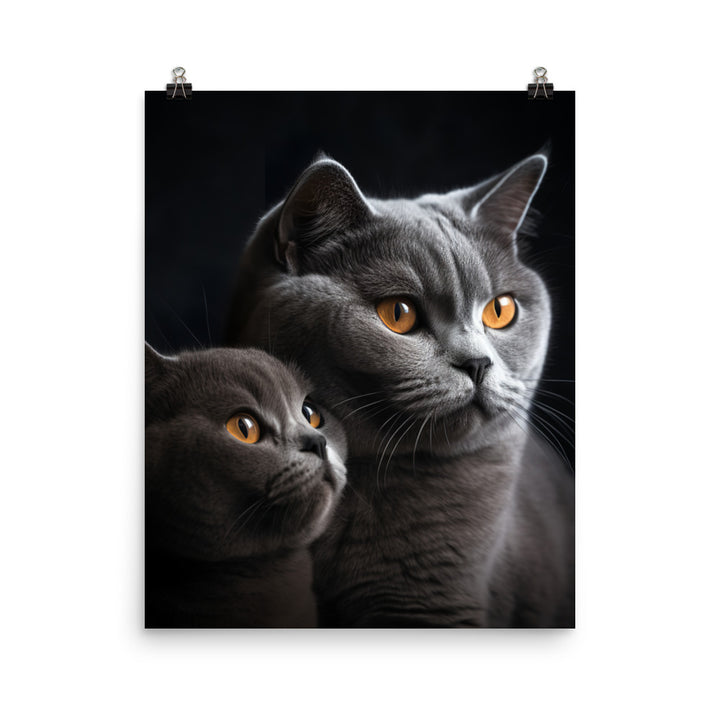 British Shorthair Cat Photo paper poster - PosterfyAI.com
