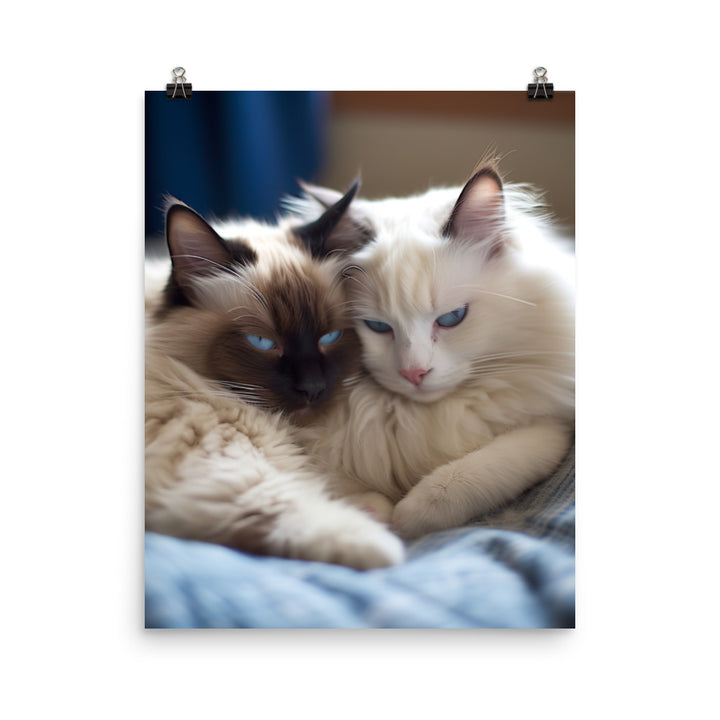 Ragdoll Companions Photo paper poster - PosterfyAI.com