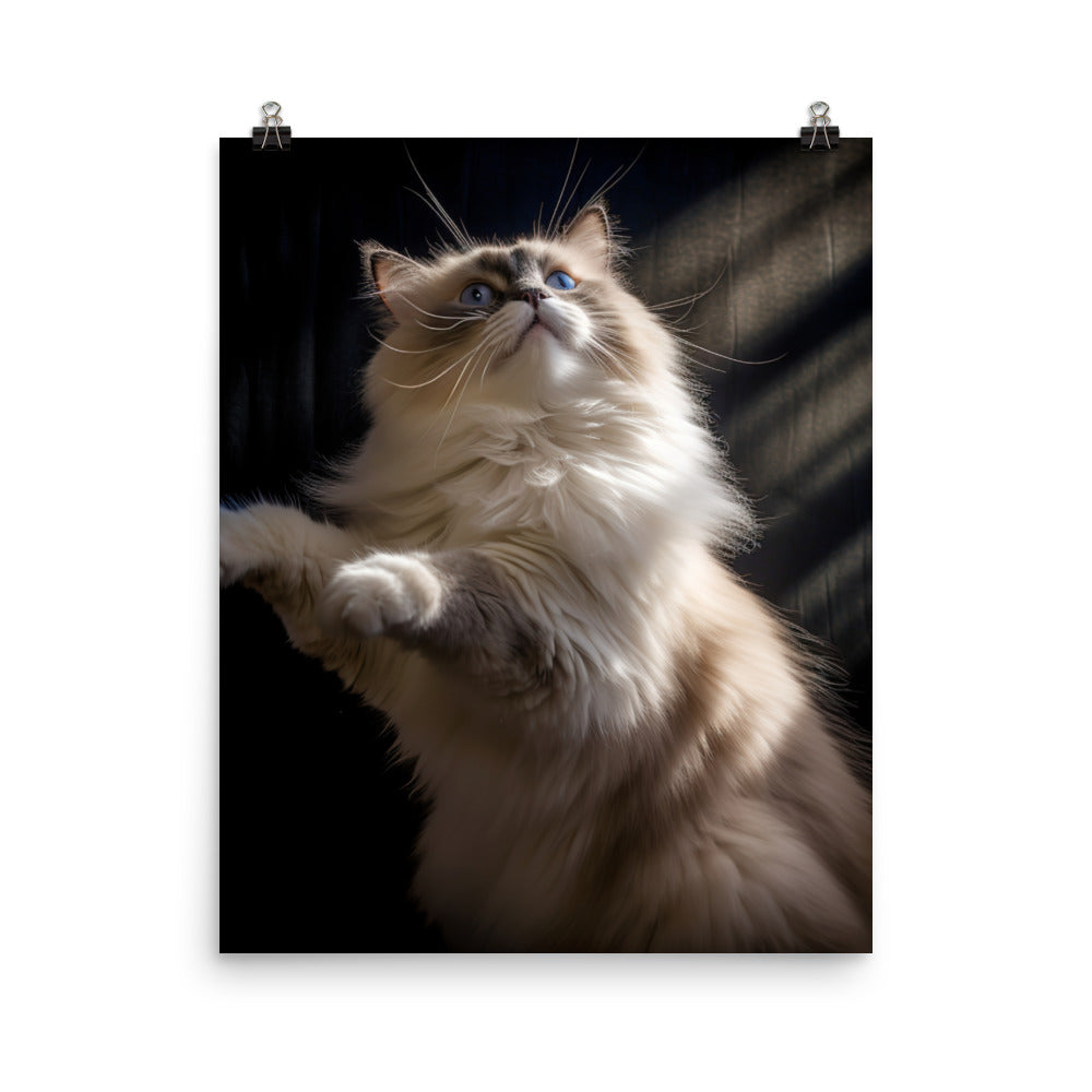 Ragdoll Cat in Motion Photo paper poster - PosterfyAI.com