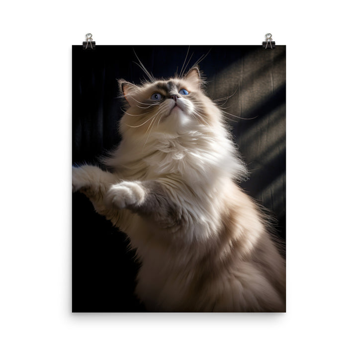Ragdoll Cat in Motion Photo paper poster - PosterfyAI.com