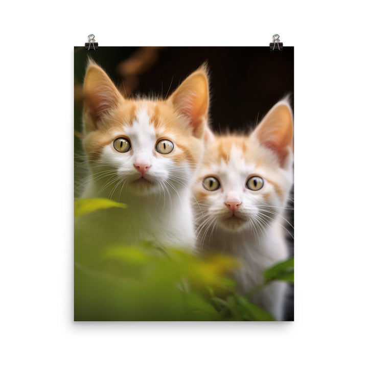 Japanese Bobtail Kitten Photo paper poster - PosterfyAI.com
