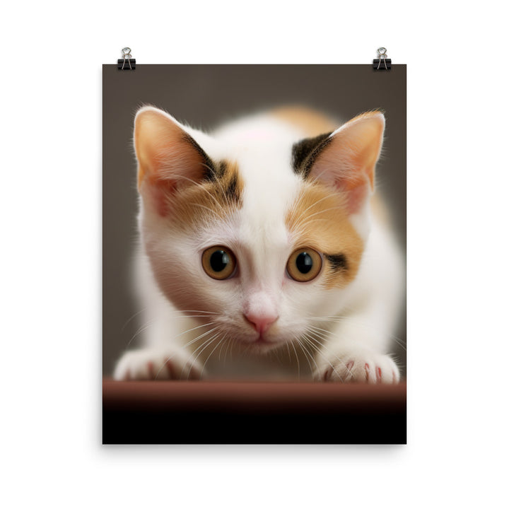 Japanese Bobtail Kitten Photo paper poster - PosterfyAI.com