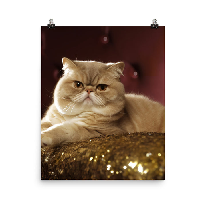 Elegance of Exotic Shorthair Adults Photo paper poster - PosterfyAI.com
