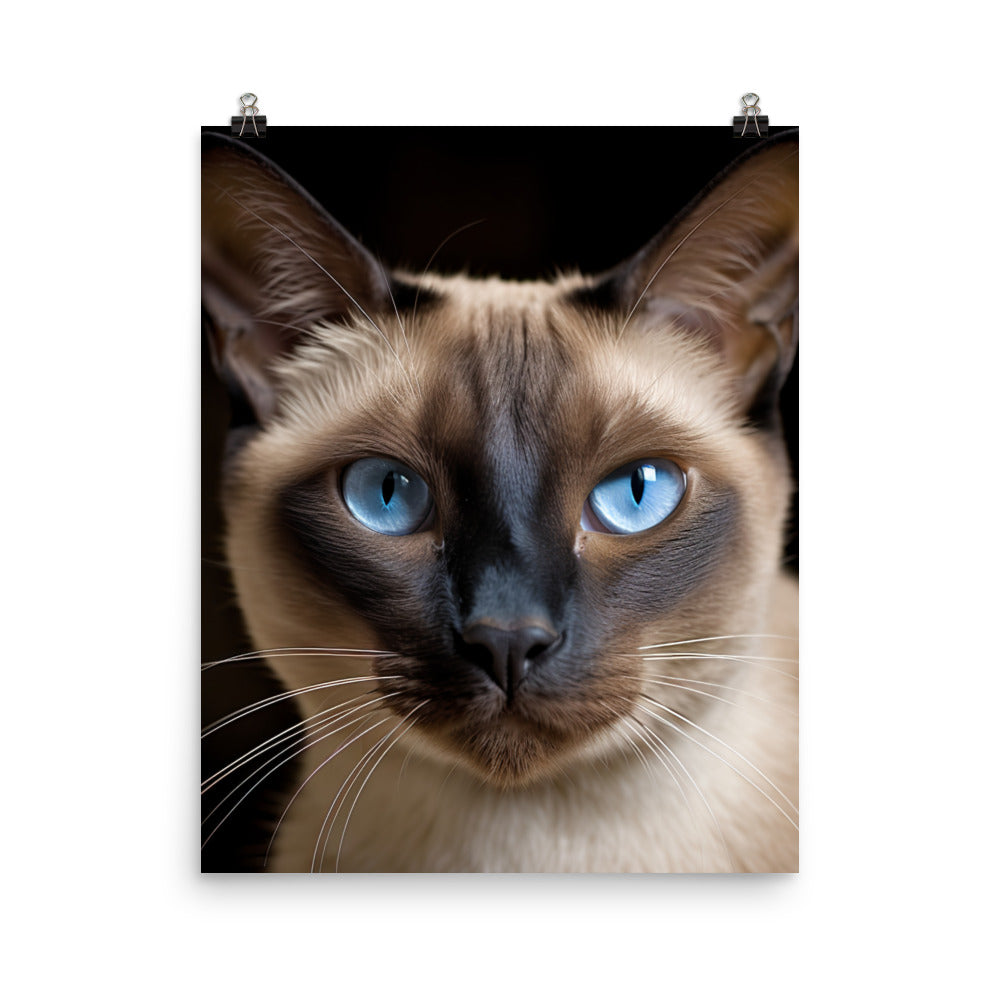 Majestic Siamese Beauty Photo paper poster - PosterfyAI.com