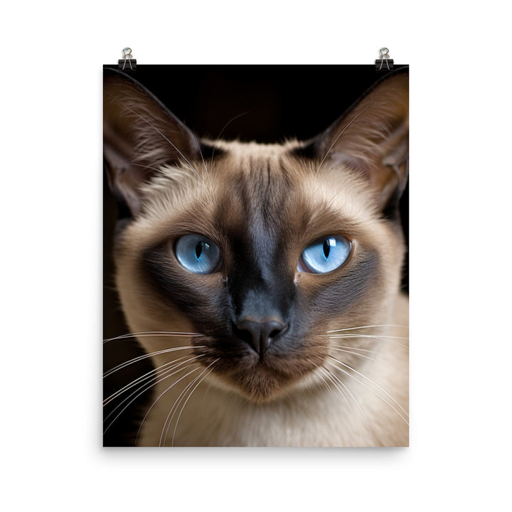Majestic Siamese Beauty Photo paper poster - PosterfyAI.com