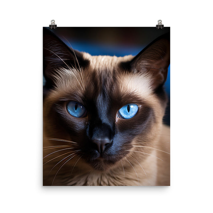 Majestic Siamese Beauty Photo paper poster - PosterfyAI.com