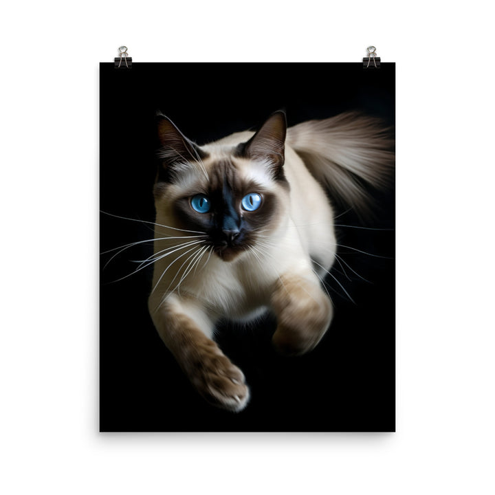 Graceful Siamese in Motion Photo paper poster - PosterfyAI.com