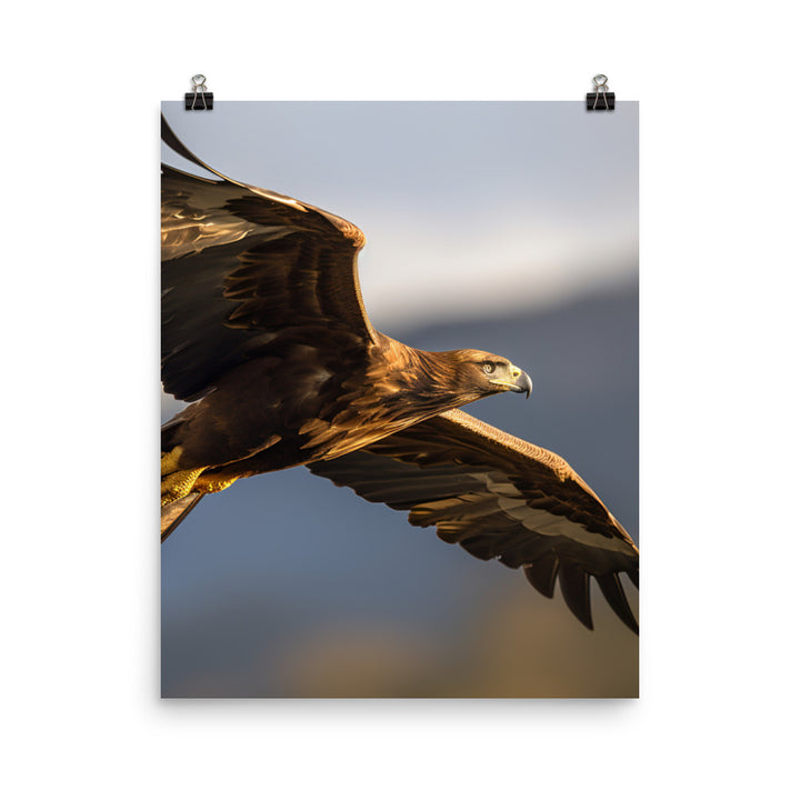 Golden Eagle soaring high in the sky Photo paper poster - PosterfyAI.com