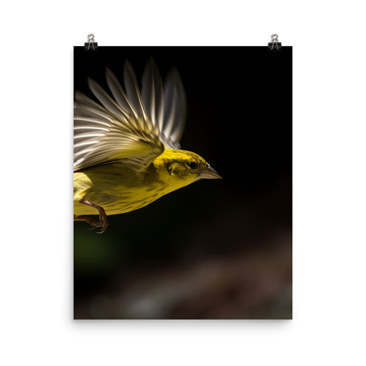 Canary in flight Photo paper poster - PosterfyAI.com