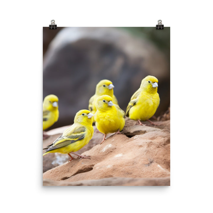 Canaries in a natural habitat Photo paper poster - PosterfyAI.com
