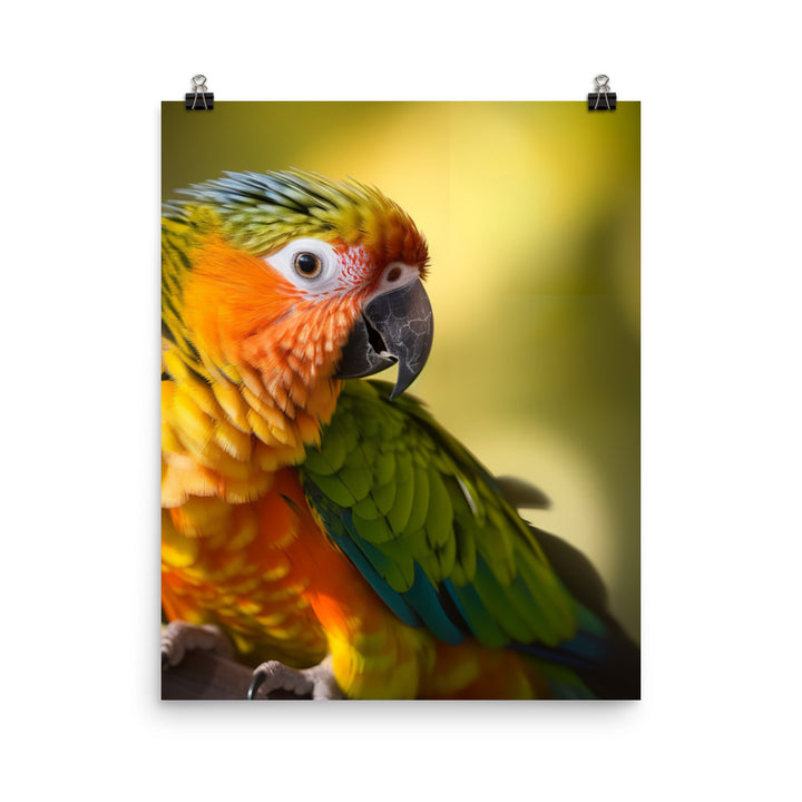 A colorful Conure perched on a branch Photo paper poster - PosterfyAI.com