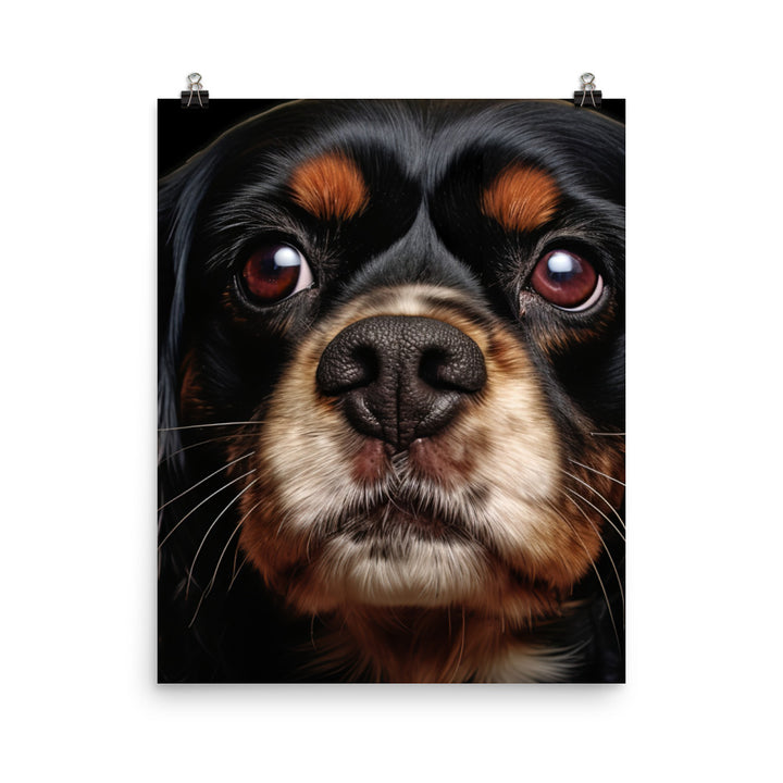 Cavalier King Charles Spaniel Photo paper poster - PosterfyAI.com