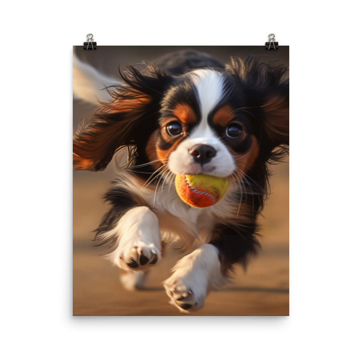 Cavalier King Charles Spaniel Photo paper poster - PosterfyAI.com