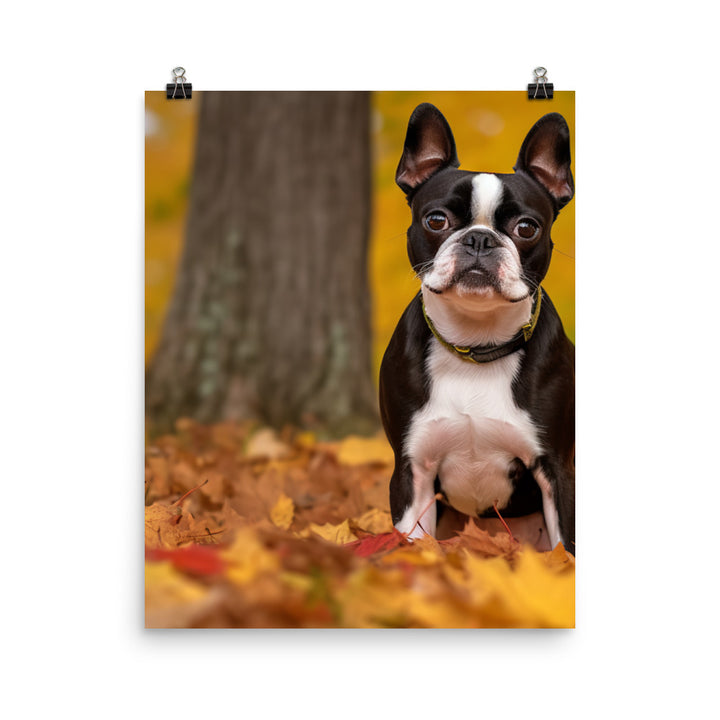 Boston Terrier with Fall Colors Photo paper poster - PosterfyAI.com