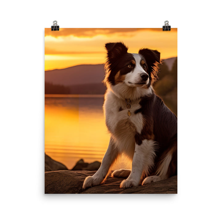 Border Collie at Sunset Photo paper poster - PosterfyAI.com