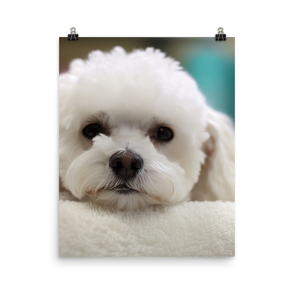 Bichon Frise in a Spa Photo paper poster - PosterfyAI.com