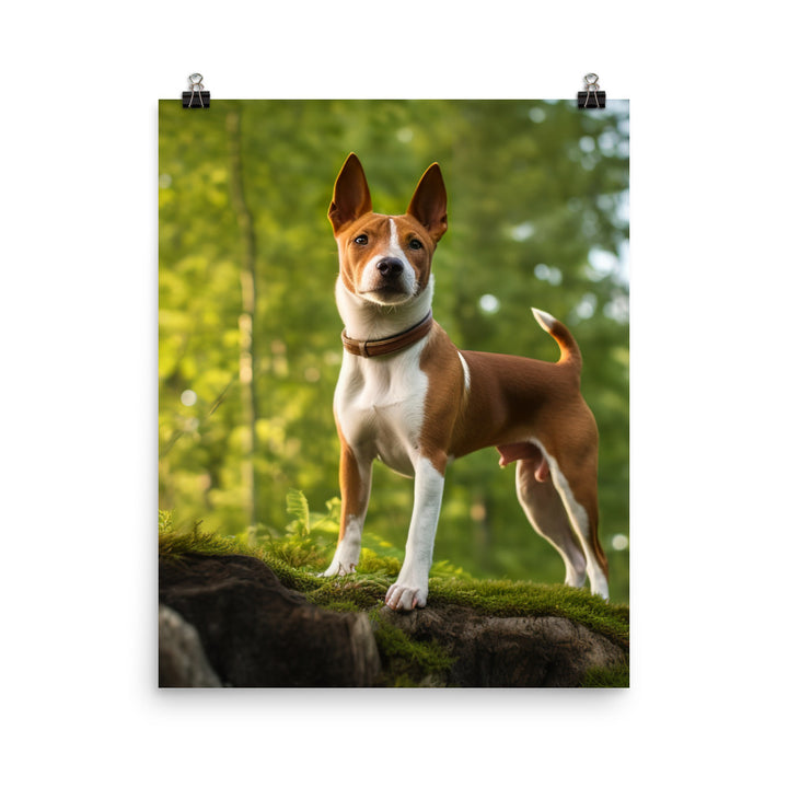 Basenji in Nature Photo paper poster - PosterfyAI.com