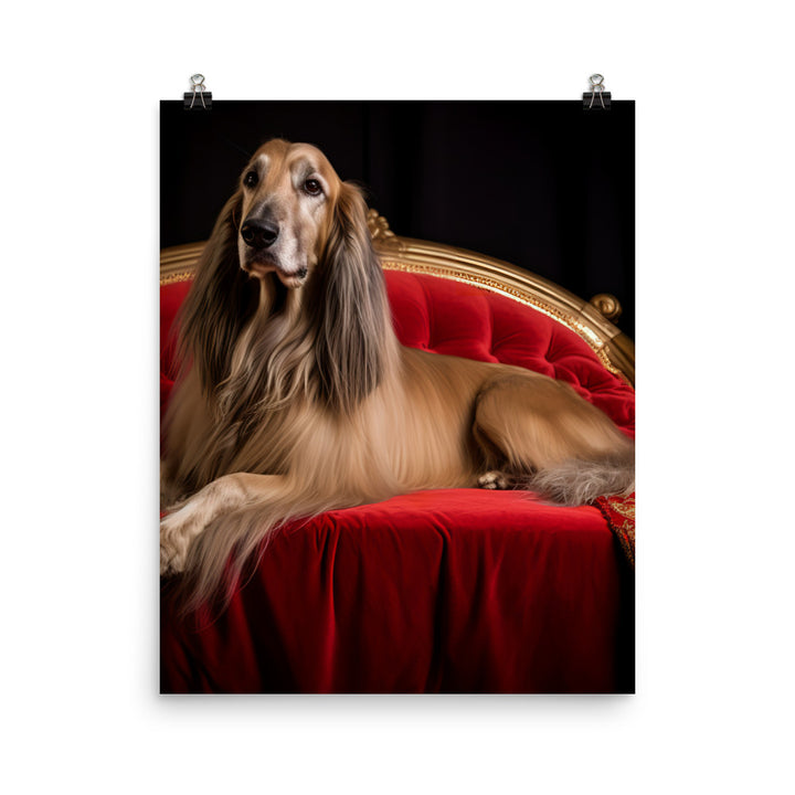 Afghan Hound in a regal pose Photo paper poster - PosterfyAI.com