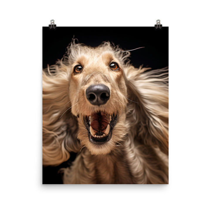 Afghan Hound in a playful mood Photo paper poster - PosterfyAI.com