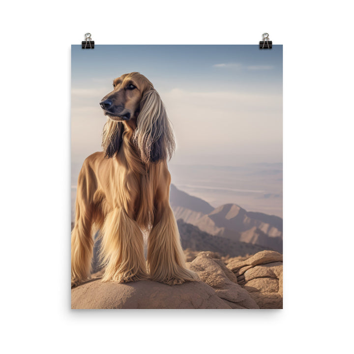 Afghan Hound in a natural environment Photo paper poster - PosterfyAI.com