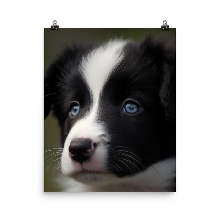 Adorable Border Collie Puppy Photo paper poster - PosterfyAI.com