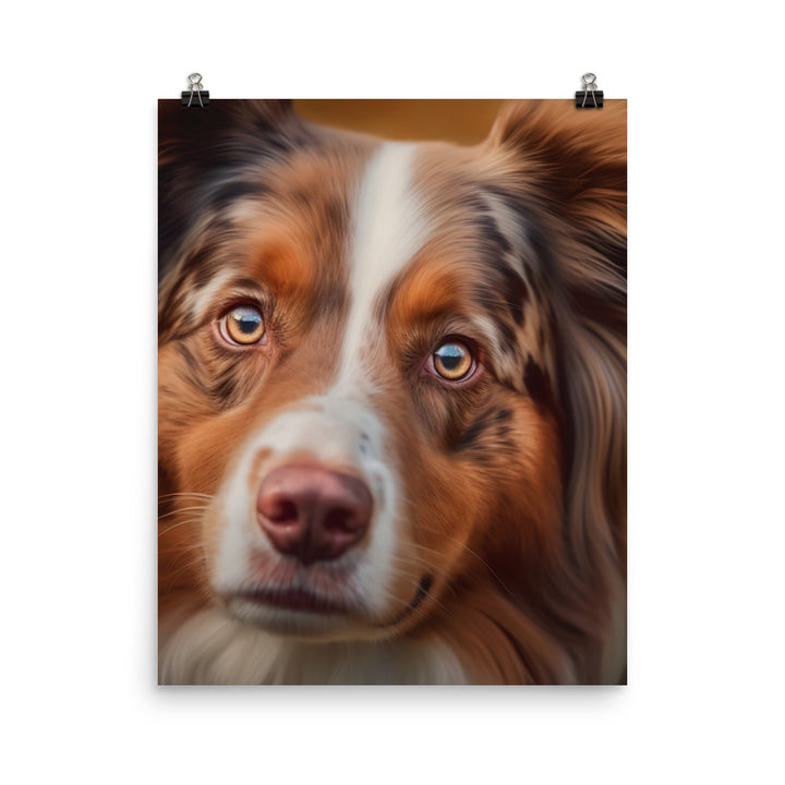 A Photorealistic portrait of your Australian Shepherd Photo paper poster - PosterfyAI.com