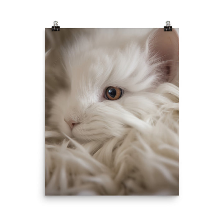 French Angora Bunnys Intricate Fur Detail Photo paper poster - PosterfyAI.com