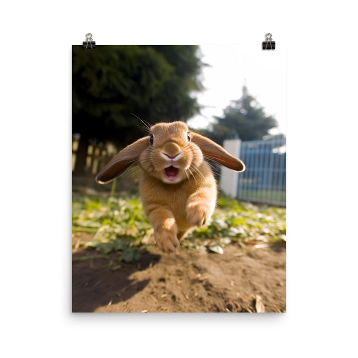 Mini Lop Bunny Enjoying a Playful Hop Photo paper poster - PosterfyAI.com