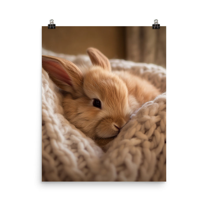 Jersey Wooly Bunny in a Cozy Setting Photo paper poster - PosterfyAI.com
