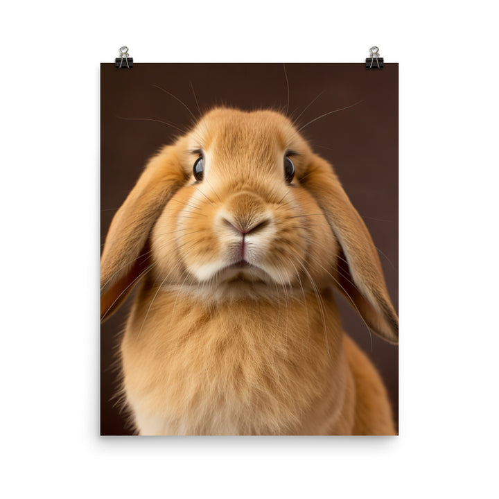 Holland Lop Bunny Photo paper poster - PosterfyAI.com