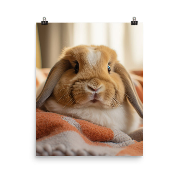 Holland Lop Bunny in a Cozy Setting Photo paper poster - PosterfyAI.com