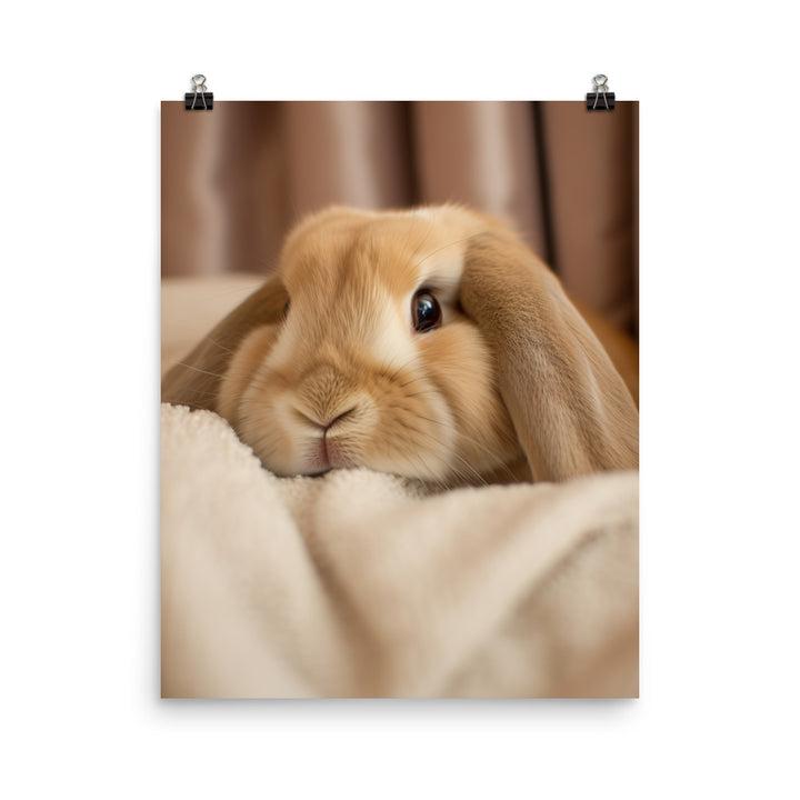 Holland Lop Bunny in a Cozy Setting Photo paper poster - PosterfyAI.com