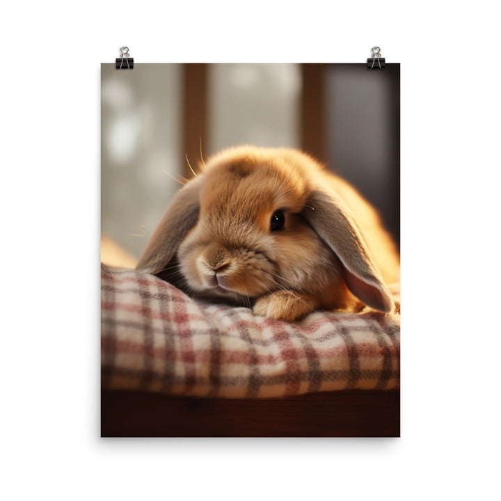 Holland Lop Bunny in a Cozy Setting Photo paper poster - PosterfyAI.com