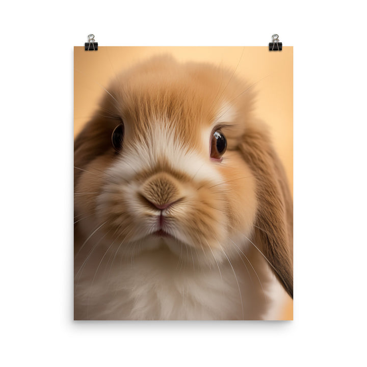 Charming Holland Lop Bunny Photo paper poster - PosterfyAI.com