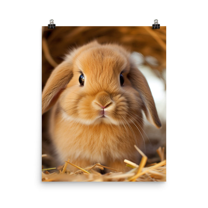 Adorable Holland Lop Bunny Photo paper poster - PosterfyAI.com