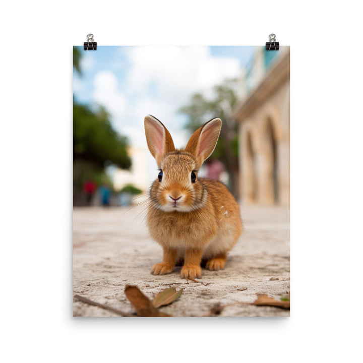 Adorable Havana Bunny Photo paper poster - PosterfyAI.com