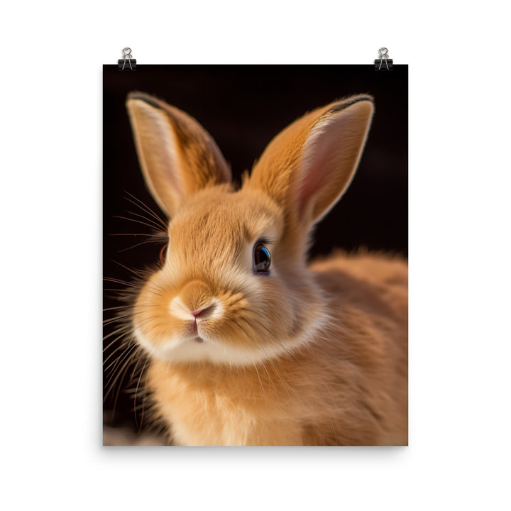 Adorable American Bunny Photo paper poster - PosterfyAI.com