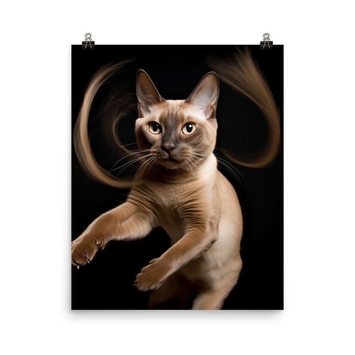 Tonkinese Cat in Action Photo paper poster - PosterfyAI.com