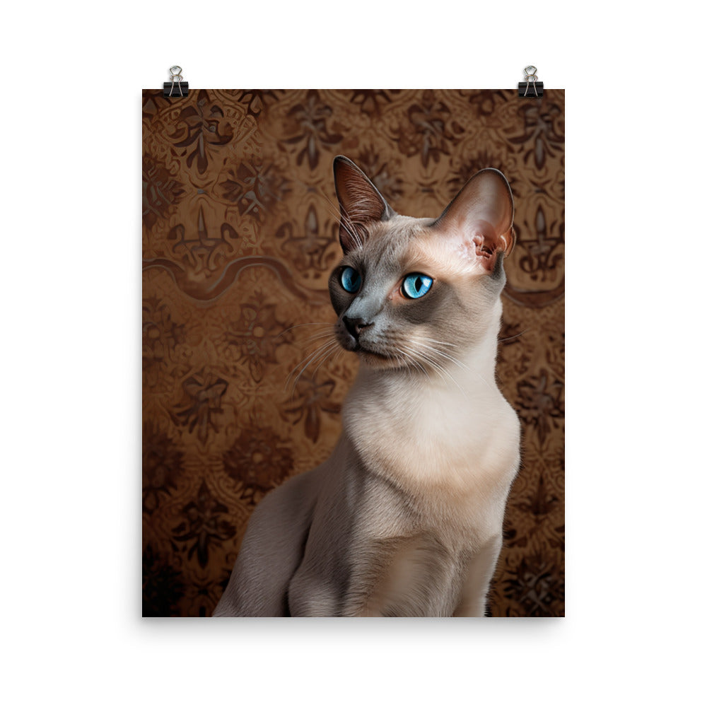 Luxurious Coat of Tonkinese Cat Photo paper poster - PosterfyAI.com