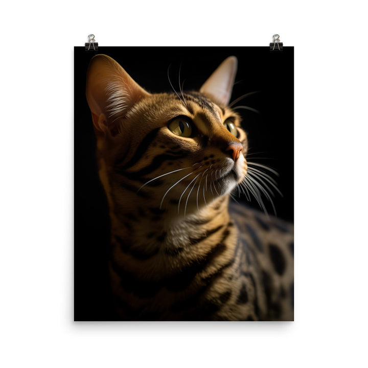 Majestic Beauty of Ocicat Cat Photo paper poster - PosterfyAI.com