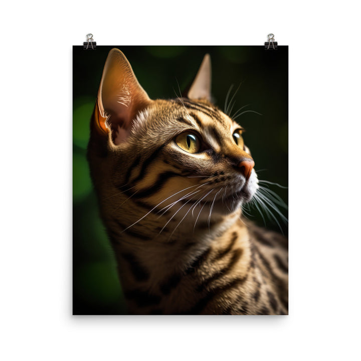 Majestic Beauty of Ocicat Cat Photo paper poster - PosterfyAI.com