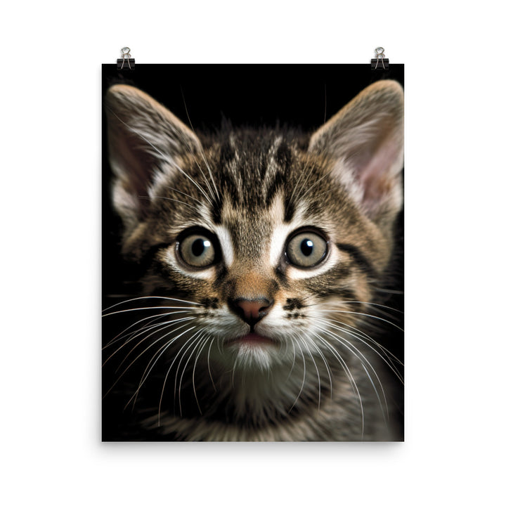 Manx Kitten Photo paper poster - PosterfyAI.com