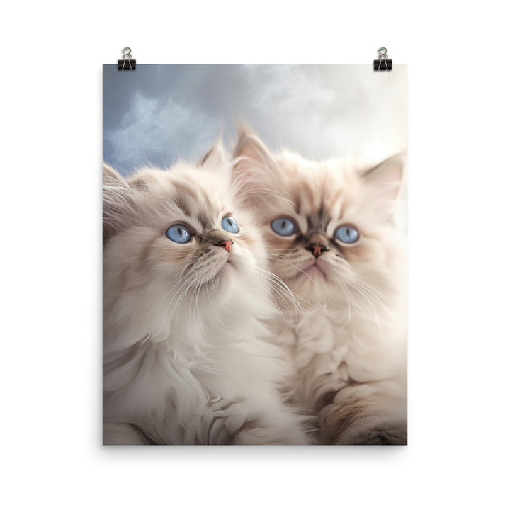Serene World of Himalayan Kittens Photo paper poster - PosterfyAI.com