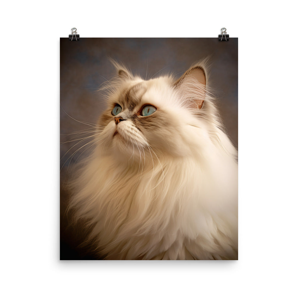 Dignified Aura of Himalayan Cat Photo paper poster - PosterfyAI.com