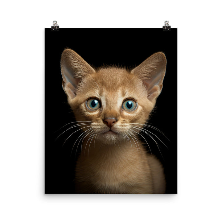Playful World of Burmese Kitten Photo paper poster - PosterfyAI.com