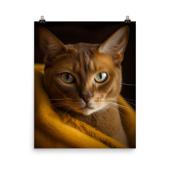 Elegance of Burmese Cat Photo paper poster - PosterfyAI.com