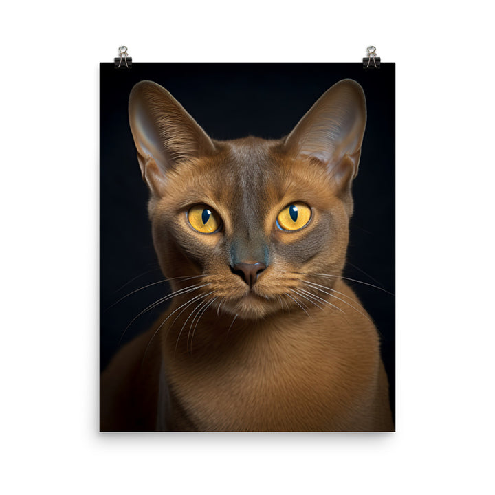 Elegance of Burmese Cat Photo paper poster - PosterfyAI.com