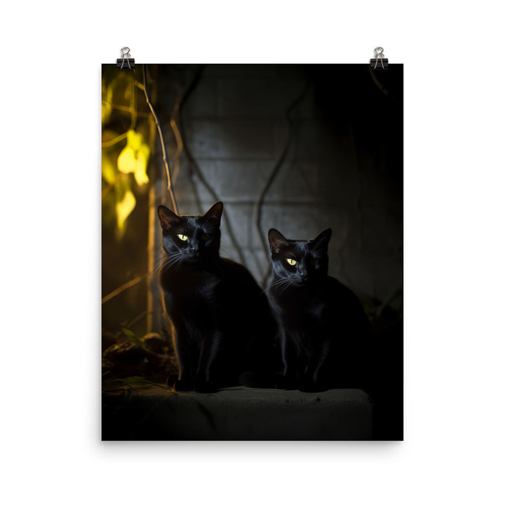 Elegance of Bombay Cat Photo paper poster - PosterfyAI.com