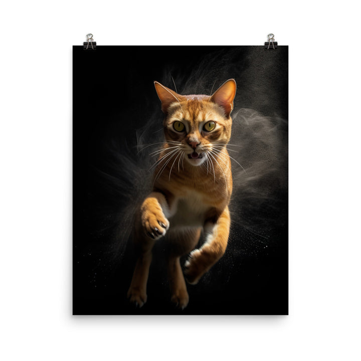 Abyssinian Cat Photo paper poster - PosterfyAI.com