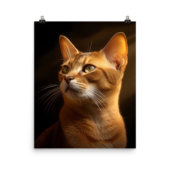 Abyssinian Cat Photo paper poster - PosterfyAI.com